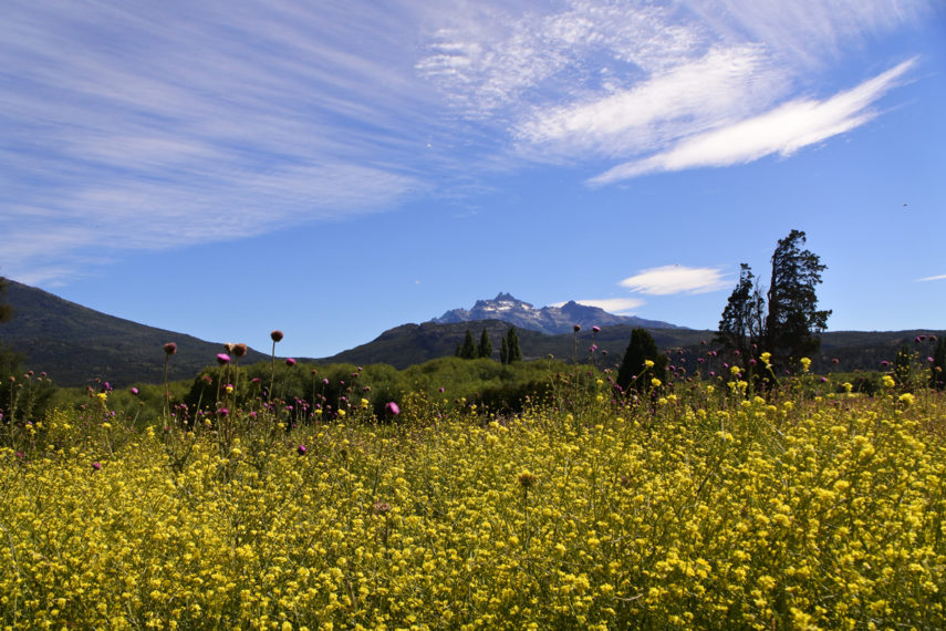 Patagonia Bariloche Calafate