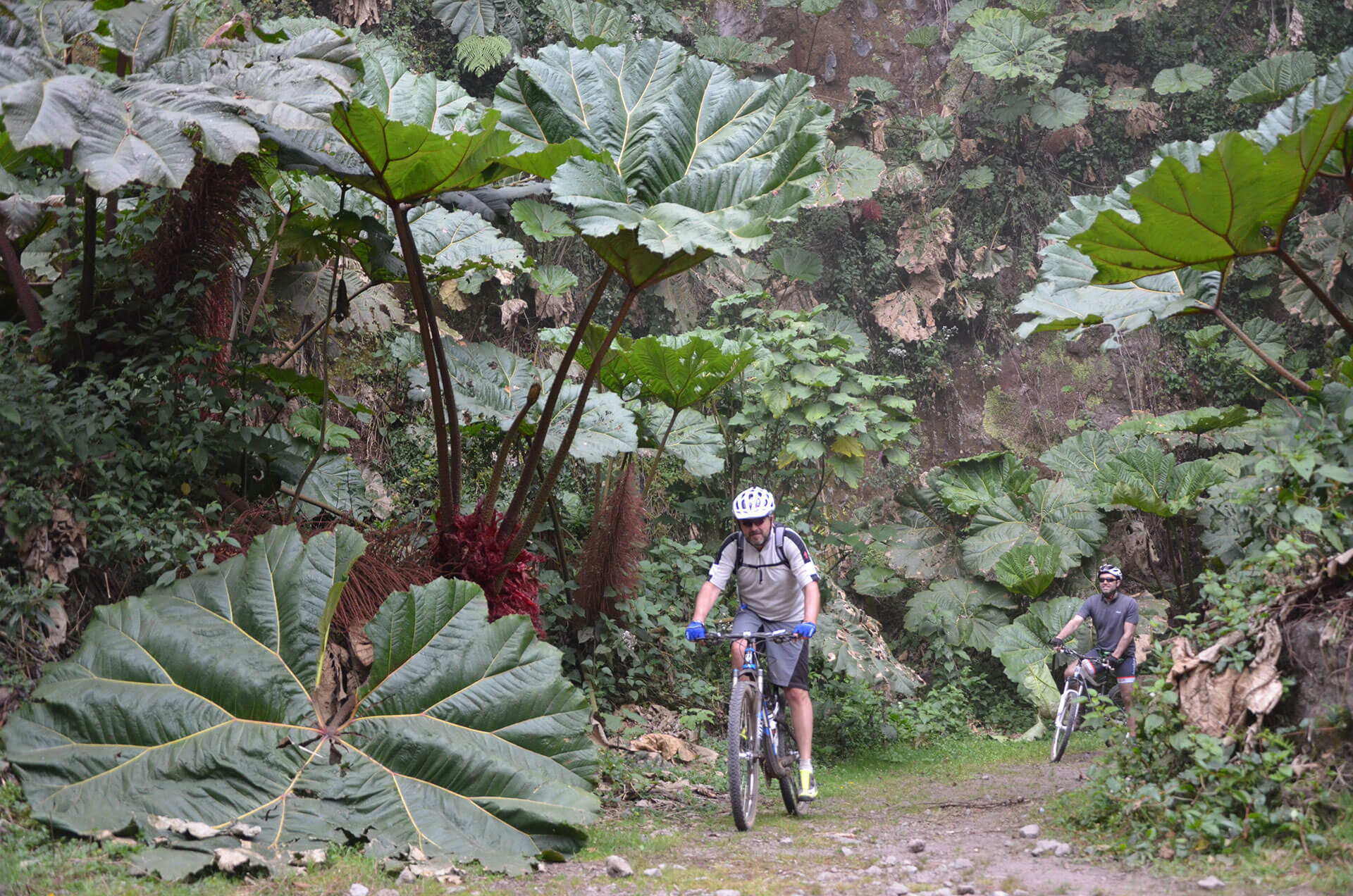 Ultimos lugares para el viaje en Costa Rica!