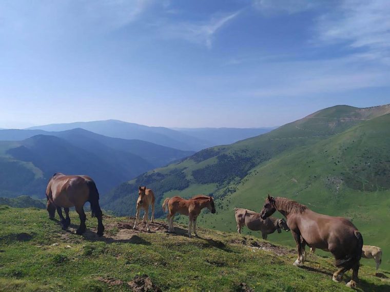 Patagonia-Biking explores pedaling!  Double longitudinal crossing of the Pyrenees (2050 km. Elevation gain +45,000)!