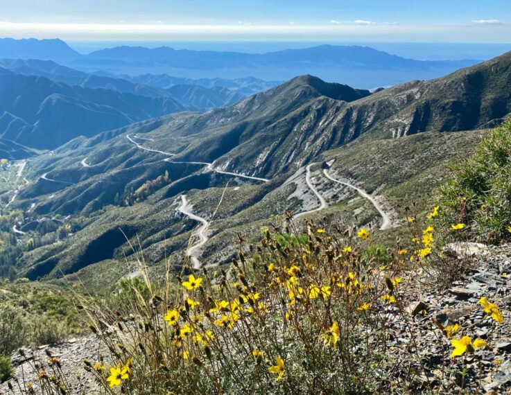 “Andean” beauty among the giants of the Andes